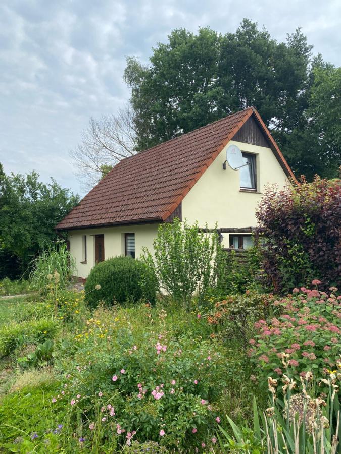 Nordwind Sjut Appartement Warnow  Buitenkant foto